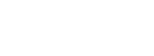 Logo Companie